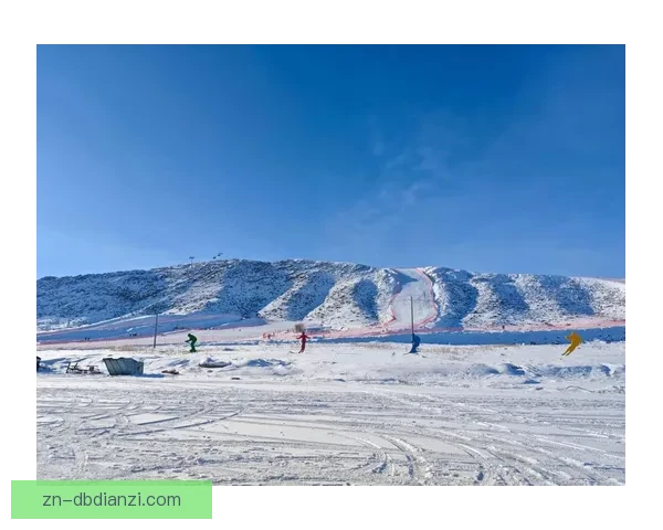 滑雪数据分析：挖掘雪场背后的秘密